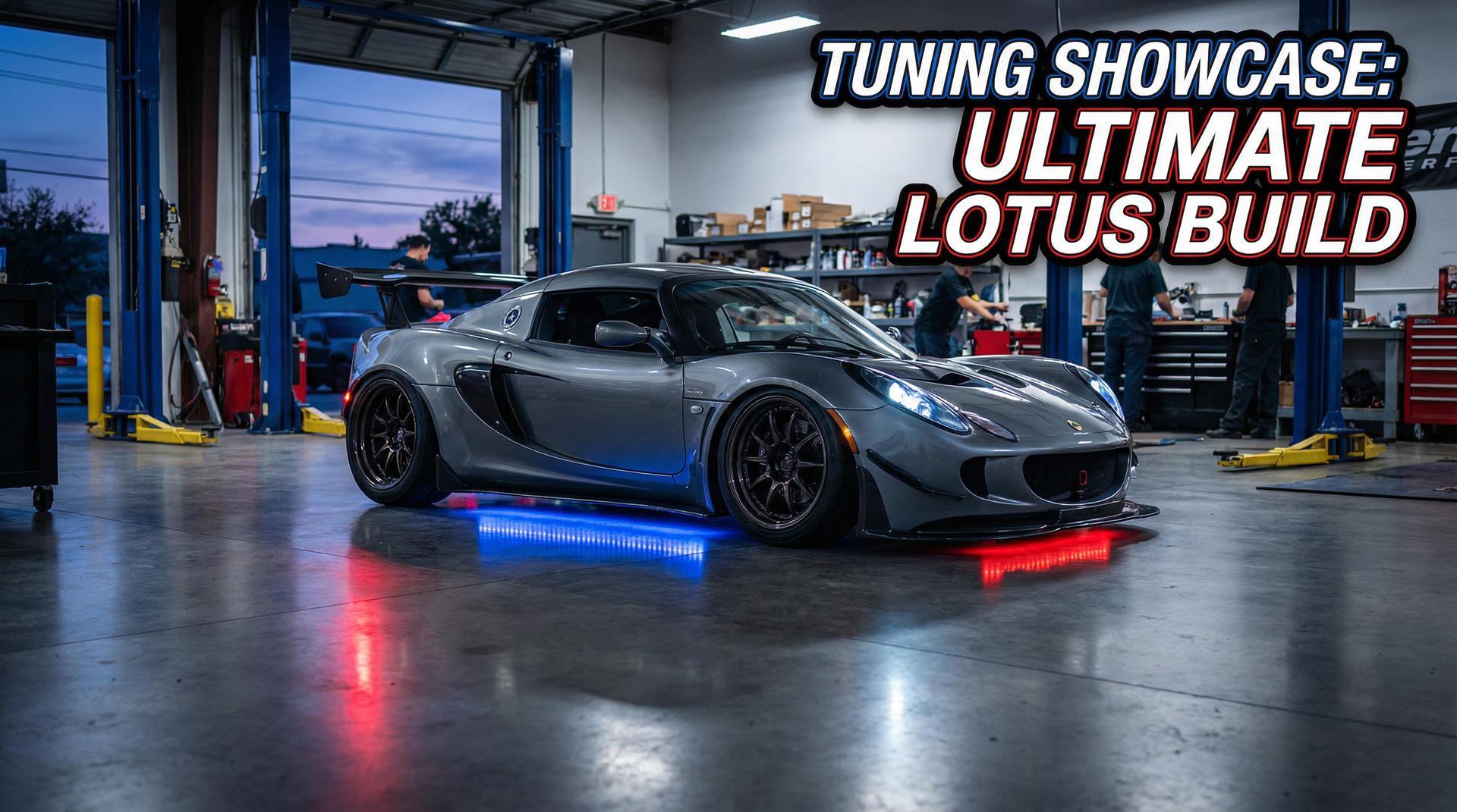 抖音揭秘视频-宽体套件